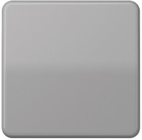 Лицевая панель Jung CD500 для 1-кл. выключателя серый фото Лицевая панель Jung CD500 для 1-кл. выключателя серый картинка